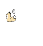 だいちくんとこきつね（個別スタンプ：7）