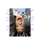 いがが家（個別スタンプ：2）