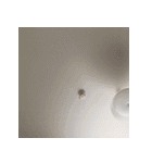 おもち君と仲間たち2（個別スタンプ：40）