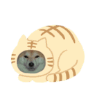 じんちゃんちのななちゃん。（個別スタンプ：2）