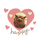 じんちゃんちのななちゃん。（個別スタンプ：32）