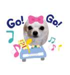 ちゃぴ太 まめstamp（個別スタンプ：7）