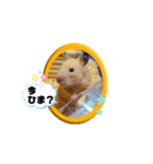 きなこちゃんスタンプ①（個別スタンプ：1）