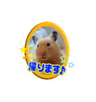 きなこちゃんスタンプ①（個別スタンプ：9）