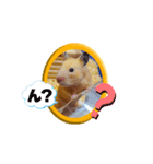 きなこちゃんスタンプ①（個別スタンプ：10）