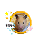 きなこちゃんスタンプ①（個別スタンプ：14）