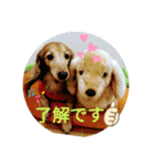 カニンヘンダックス@HERMES-コン（個別スタンプ：2）