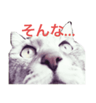 世界一かわいいそらくんスタンプ（個別スタンプ：2）