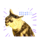 世界一かわいいそらくんスタンプ（個別スタンプ：5）