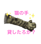 世界一かわいいそらくんスタンプ（個別スタンプ：6）
