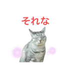 世界一かわいいそらくんスタンプ（個別スタンプ：8）