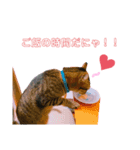 猫の日常ฅ•ω•ฅฅ•ω•ฅPart2（個別スタンプ：4）