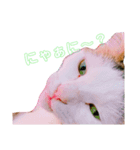 猫の日常ฅ•ω•ฅฅ•ω•ฅPart2（個別スタンプ：7）
