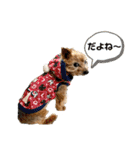 うちの子達スタンプパート2（個別スタンプ：3）