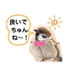 うちの子達スタンプパート2（個別スタンプ：17）