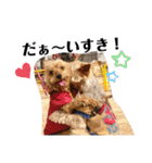 うちの子達スタンプパート2（個別スタンプ：23）