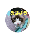 我が家のみりちゃん（個別スタンプ：5）