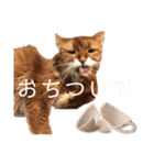 きららの毎日3（個別スタンプ：4）