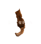 きららの毎日3（個別スタンプ：11）