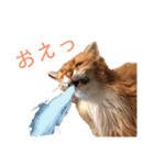 きららの毎日3（個別スタンプ：14）