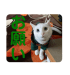 わさびさんⅤ（個別スタンプ：11）