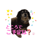 みっきーくんの初スタンプ（個別スタンプ：4）