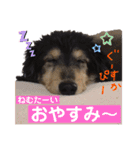 みっきーくんの初スタンプ（個別スタンプ：5）
