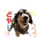 みっきーくんの初スタンプ（個別スタンプ：6）