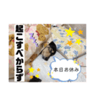 みっきーくんの初スタンプ（個別スタンプ：13）