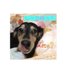 みっきーくんの初スタンプ（個別スタンプ：15）