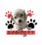 ワンコたちシリーズ①（個別スタンプ：1）