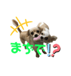 ワンコたちシリーズ①（個別スタンプ：4）