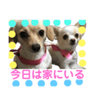 ワンコたちシリーズ①（個別スタンプ：5）