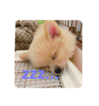 アルくんの日常（個別スタンプ：4）