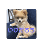 アルくんの日常（個別スタンプ：8）