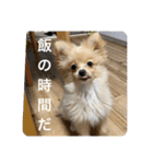 アルくんの日常（個別スタンプ：12）