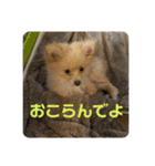 アルくんの日常（個別スタンプ：14）