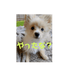 アルくんの日常（個別スタンプ：20）