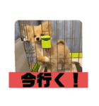 アルくんの日常（個別スタンプ：21）