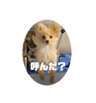 アルくんの日常（個別スタンプ：22）