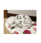 人間にキバしか向いてない（個別スタンプ：4）
