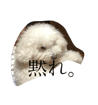 人間にキバしか向いてない（個別スタンプ：5）
