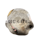 人間にキバしか向いてない（個別スタンプ：6）