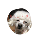 人間にキバしか向いてない（個別スタンプ：8）