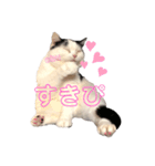 うちのすこくん。（個別スタンプ：11）