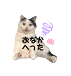 うちのすこくん。（個別スタンプ：14）
