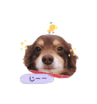 エースくん.（個別スタンプ：2）