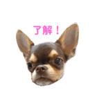 Berne.O（個別スタンプ：1）