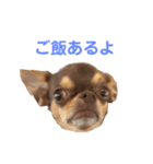 Berne.O（個別スタンプ：4）