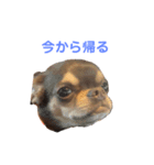 Berne.O（個別スタンプ：6）